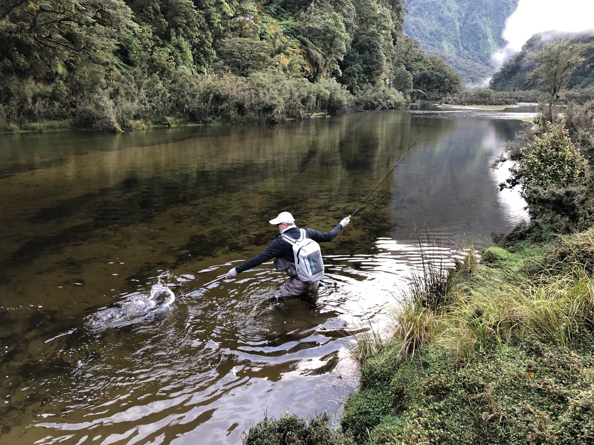 fiordland hunting trips