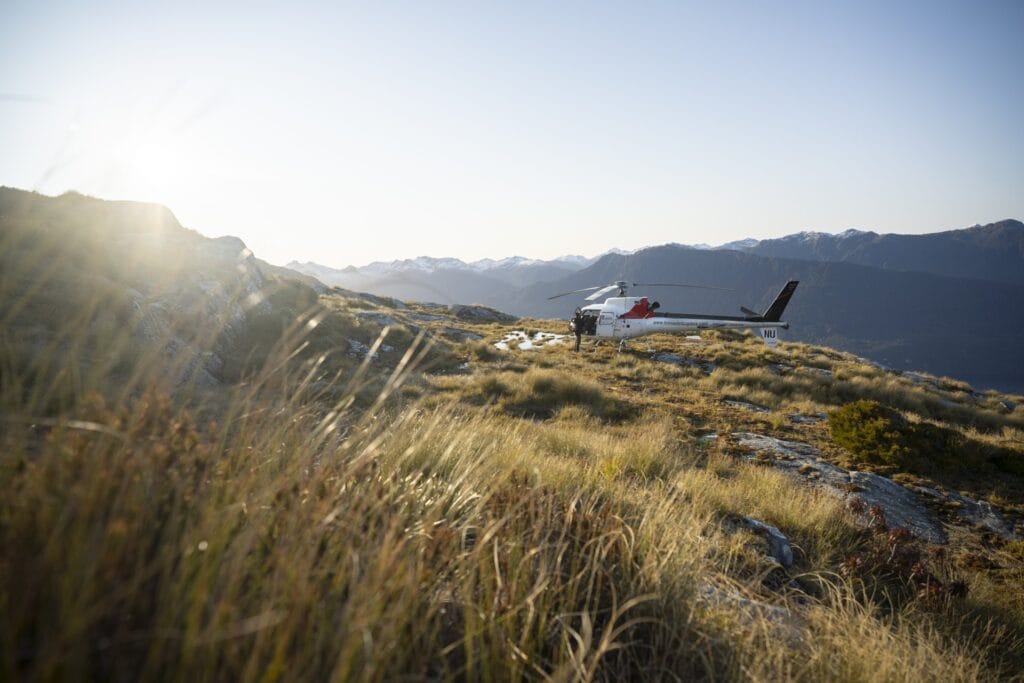 A helicopter landed on a grassy mountaintop in Fiordland at sunset, with distant snow-capped mountains under a clear sky.