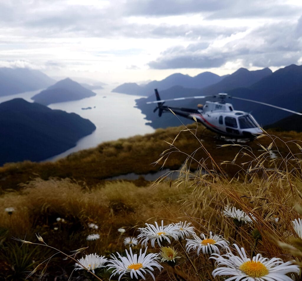 Helicopter landed on a mountain overlooking a scenic lake with islands, surrounded by tall peaks, foreground showing blooming white daisies.