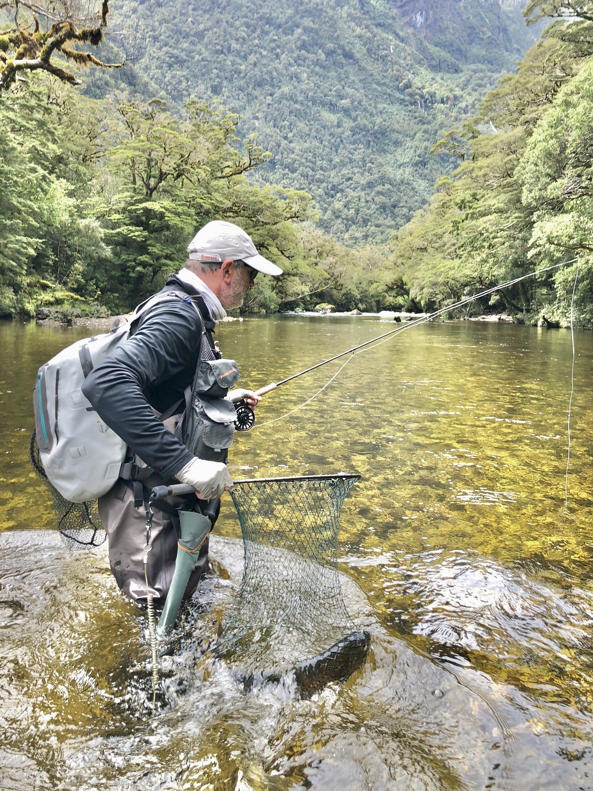 fiordland hunting trips