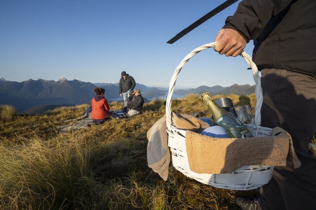 A person holding a picnic basket with champagne near two people sitting on a mountain in Fiordland, enjoying a scenic view.