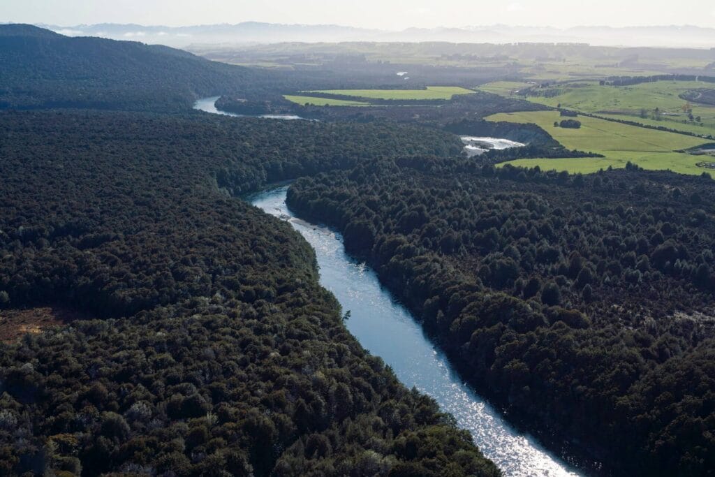 Aerial view of a meandering river flowing through a lush, green landscape with patches of forest and open fields, reminiscent of a Fiordland tour.